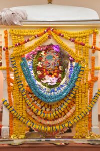WhatsApp Image 2026-05-18 at 14.00.27